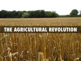 Revolution In Agriculture Worksheet with Early Men by toni Lee