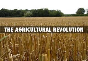 Revolution In Agriculture Worksheet with Early Men by toni Lee