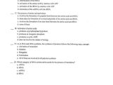 Rna Worksheet Answers as Well as Biology Archive July 24 2017