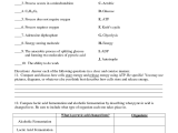 Role Of Photosynthesis In Carbon Cycling Worksheet as Well as Photosynthesis Worksheet Google Search