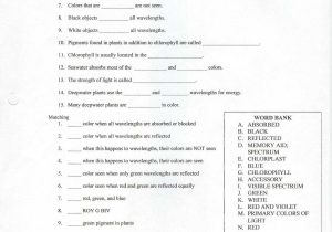 Role Of Photosynthesis In Carbon Cycling Worksheet together with Synthesis Practice Worksheet Choice Image Worksheet Math for Kids