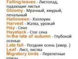 Russian for Beginners Worksheets together with 196 Best Russian Images On Pinterest