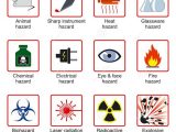 Safety Symbols Worksheet Along with 23 Best Safety First Images On Pinterest