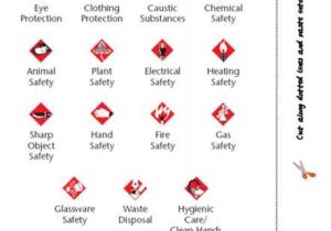Safety Symbols Worksheet with 203 Best Health Care Safety Images On Pinterest