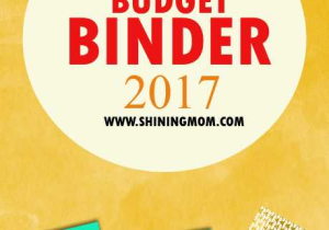 Saving and Investing Worksheet and Save and Invest 2017 Free Bud Binder