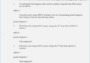 Say It with Dna Protein Synthesis Worksheet Answers together with Macromolecule Worksheet Lesson Plans Inc Answers Worksheet