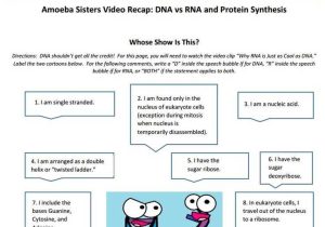 Say It with Dna Protein Synthesis Worksheet with 27 Best Amoeba Sisters Handouts Images On Pinterest
