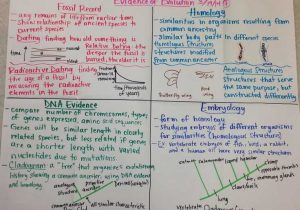 Schs Biology Data Analysis Worksheet Answers Along with 1466 Best Biology Images On Pinterest