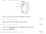 Schs Biology Data Analysis Worksheet Answers together with Cinnamonwhirl S Shop Teaching Resources Tes