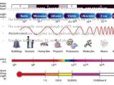 Science 8 Electromagnetic Spectrum Worksheet with Radio Waves Wavelength Bing Images