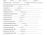 Science Instruments and Measurement Worksheet Answers and Gemütlich Anatomy and Physiology Chapter 8 Answers Ideen