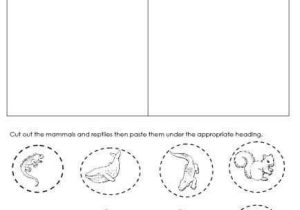 Science Worksheets for Kids Along with 31 Best Unit Ideas Mammals Images On Pinterest