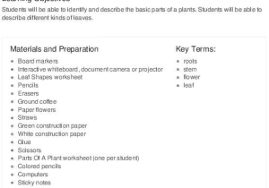 Science Worksheets Special Education together with Learning Resources