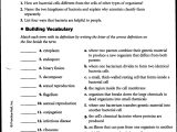 Scientific Inquiry Worksheet Answers Also Free Middle School Worksheets Others Free Worksheet Daily