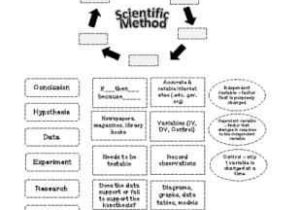 Scientific Method Review Worksheet Also 272 Best Science Investigation & Reasoning Images On Pinterest