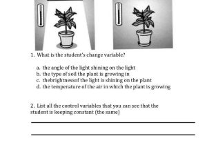 Scientific Method Worksheet 5th Grade or Scientific Method Variables Worksheet