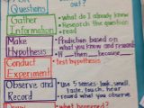 Scientific Procedures and Safety Worksheet with Scientific Method Anchor Charts Pinterest