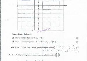 Secrets Of the Mind Worksheet Answers or Math Grid Two Line Graph Paper with Major Lines and Minor
