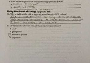 Section 8 1 Energy and Life Worksheet Answer Key Also Koski Carley 1st Block Biology October 2014