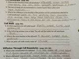 Section 8 1 Energy and Life Worksheet Answer Key or Koski Carley 1st Block Biology Section 7 3 Cell Boundaries