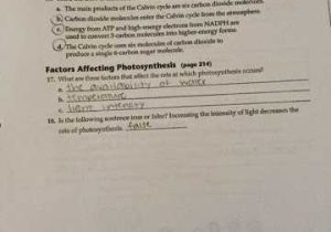 Section 8 1 Energy and Life Worksheet Answer Key together with Koski Carley 1st Block Biology October 2014