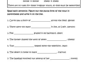 Semicolon and Colon Worksheet with Answers as Well as 25 Inspirational Stock Plete Subject and Plete Predicate