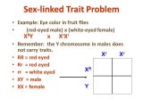 Sex Linked Inheritance Worksheet with Lovely Linked Traits Worksheet Best Finishing Up Mendelian