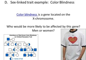Sex Linked Traits Worksheet and Worksheets 49 Re Mendations Linked Traits Worksheet High