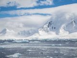 Shackleton's Antarctic Adventure Worksheet Also Artampaposs Work 2013