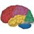 Sheep Brain Dissection Worksheet or the Human Brain is the Center the Nervous System the Aver