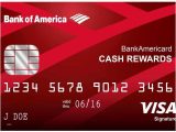 Shopping for A Credit Card Worksheet as Well as Bank America Business Credit Card Application Status Choi