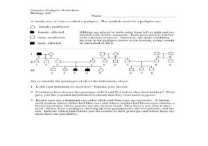 Sickle Cell Anemia Worksheet Along with Genetics Pedigree Worksheet