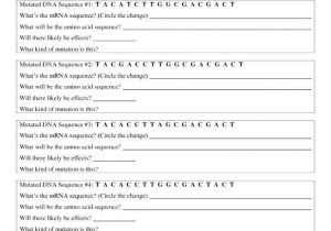 Sickle Cell Anemia Worksheet Answers Along with Mutations Worksheet Key Gallery Worksheet Math for Kids