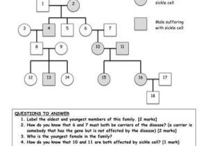 Sickle Cell Anemia Worksheet or Genetics Pedigree Worksheet