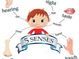 Sight Word Sentences Worksheets Along with La Educacion Fisica Segun Tristan Unit 2 Natural Science