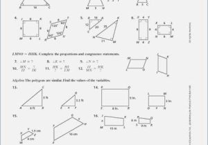 Similar and Congruent Figures Worksheet and Chapter 4 Congruent Triangles Worksheet Answers Best Proofs with