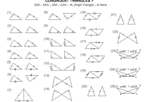Similar and Congruent Figures Worksheet as Well as Congruent Triangles Worksheet Grade 9 Kidz Activities