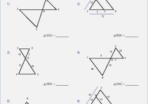 Similar and Congruent Figures Worksheet with Worksheets 46 Inspirational Geometry Worksheets High Resolution