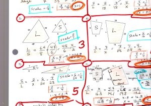 Similar Polygons Worksheet Answer Key or Similar Polygons Worksheet Answer Key Fresh Ms Mcnabb Math 8