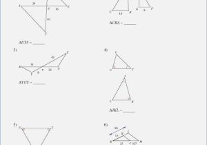 Similar Polygons Worksheet Answers Also Best Similar Figures Worksheet Beautiful Scale Factors Using