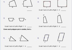 Similar Polygons Worksheet Answers and Best Geometry Worksheets Beautiful Similar Figures Worksheet with