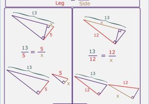 Similar Polygons Worksheet Answers and Similar Figures Worksheet Answers – Gogoheaven