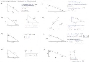 Similar Triangles Worksheet Answer Key Along with Triangle Congruence Worksheet Answers Lovely Similar Triangles