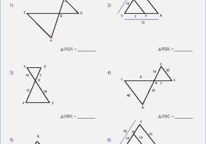 Similar Triangles Worksheet Answer Key Also Similar Figures Worksheet Answers – Gogoheaven