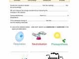 Simple Subject and Predicate Worksheets Also Chemical Reactions Ks3 Worksheet Worksheet Math for Kids
