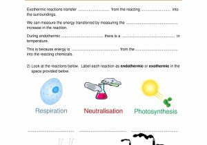 Simple Subject and Predicate Worksheets Also Chemical Reactions Ks3 Worksheet Worksheet Math for Kids