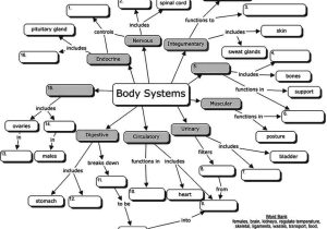 Skills Worksheet Concept Mapping Along with Body Systems Concept Map for Students to Fill In the Blanks