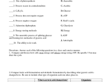 Skills Worksheet Concept Review Answers or Synthesisd Puzzle Worksheet Concept Games Pdf Gallery Jymba