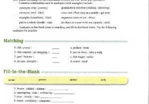 Skills Worksheet Critical Thinking Analogies Environmental Science and Academic Vocabulary
