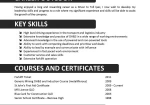 Skills Worksheet Directed Reading together with Beautiful We Can Help with Professional Resume Writing Resume